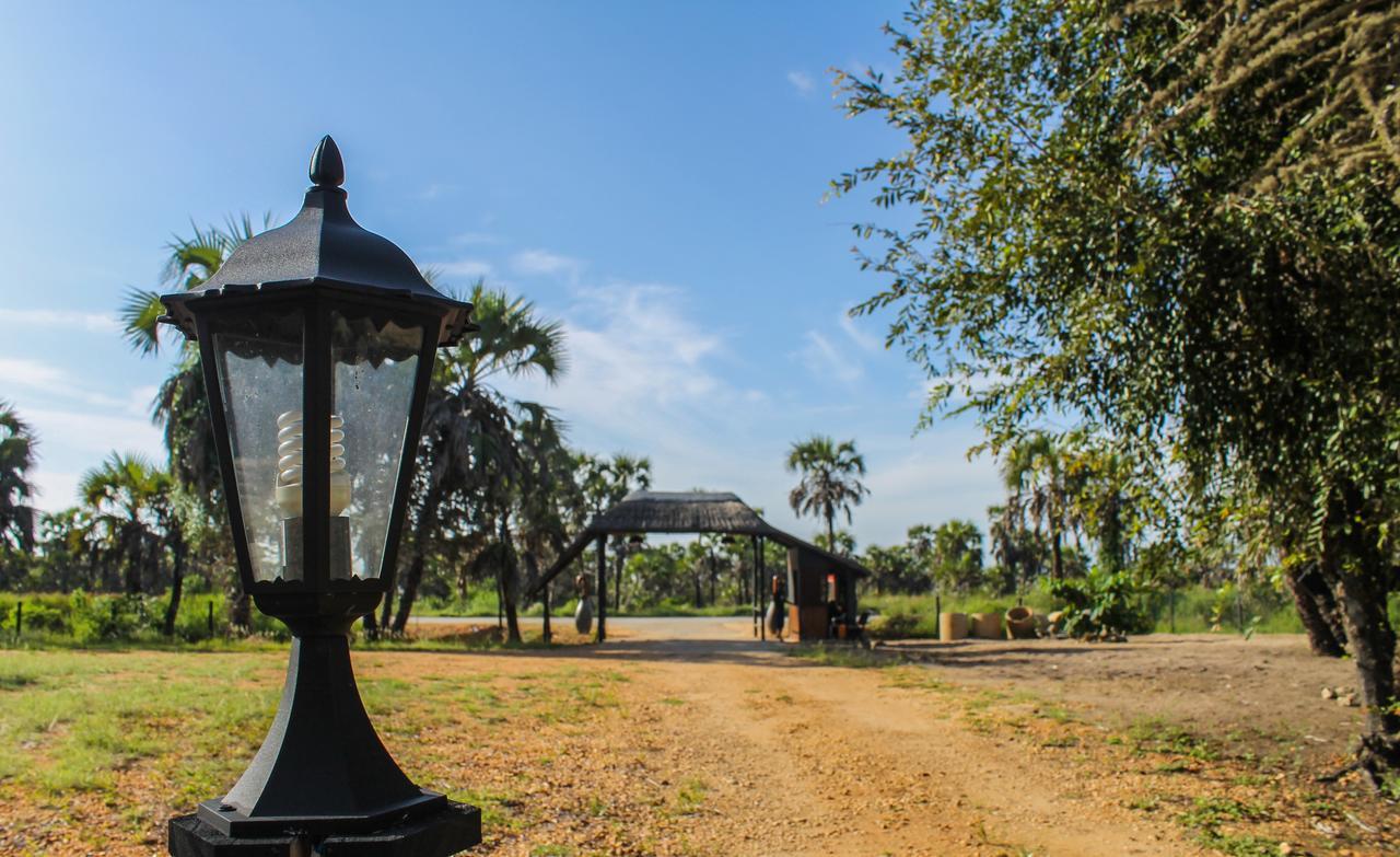 Paridiseos Resort Barra Do Dande Екстер'єр фото