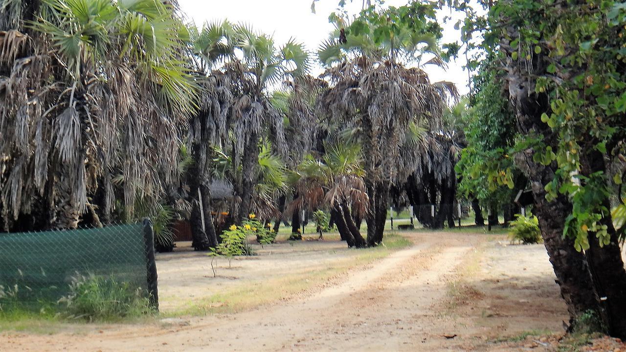 Paridiseos Resort Barra Do Dande Екстер'єр фото